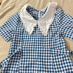 Blue Gingham Dress with Peter Pan Collar