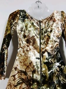 Grass Multicolour Printed Velvet Dress (Women)