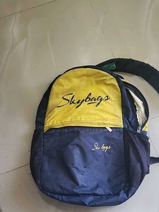 Skybags Backpack