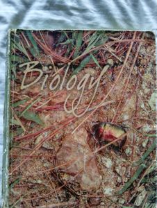 class 11 all NCERT books for science