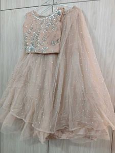 Embellished Lehenga Choli(NEW)