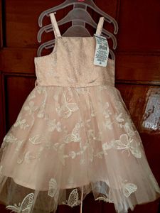 Adorable Baby Girl Dress