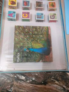 Toy Enjoy Peacock Blocks Puzzle