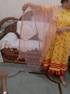 Peach Net Mirror Work Dupatta