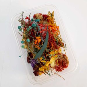 Dry Flower Box
