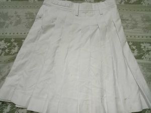 Pleated Skirt