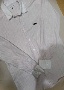 🐊Lacoste Striped Button-Down Shirt💝