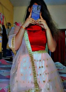 Gorgeous Indian Lehenga Choli