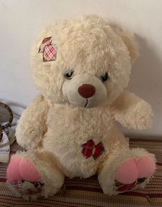 Cute Cream Teddy Bear