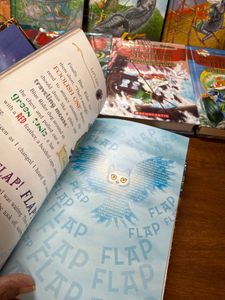 Geronimo Stilton Kingdom of Fantasy(13-Book set)