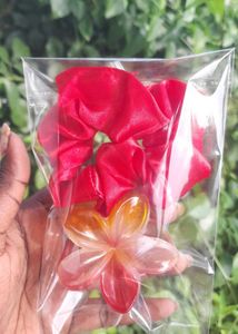 Any 3 Cute Scrunchie and Hair Clip Set