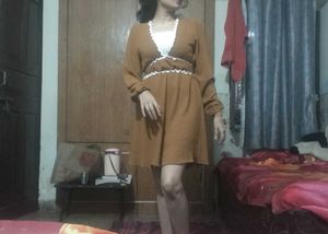 brown minni waist fitted dress