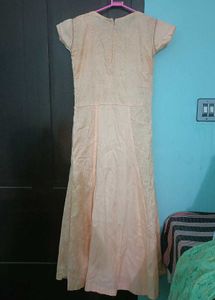 Elegant Ethnic Gown