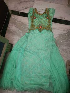 Beautiful Mint Green Ethnic Gown