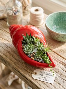 Red Seashell Succulent Planter