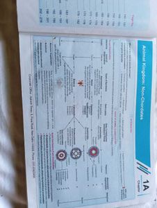 Botany NCERT Maps for NEET