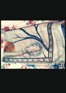 combo 2Saree Blouse
