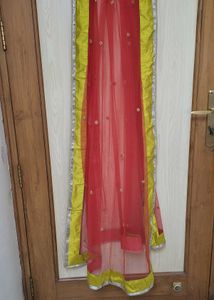 Net Duppata With Silk Border