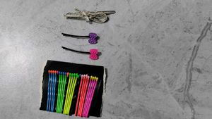 Hair Clip & Bobby Pin Set