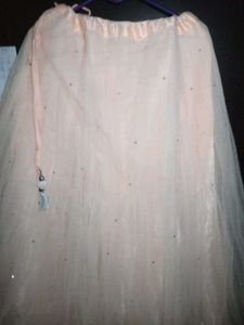 Beautiful Sequined Lehenga Choli