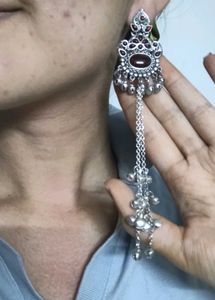 Exquisite Kashmiri Dangler Earrings