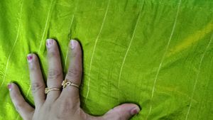 pure dola silk soft mehedi green with peacock Blue