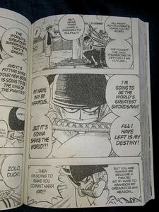 One Piece Manga Volume 1