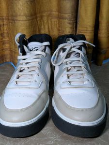 Stylish Panapoly Sneakers