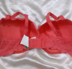 Calvin Klein Coral Lace Bra