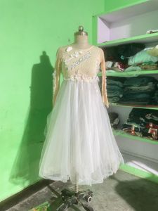 Elegant Lace Detail Tulle Gown