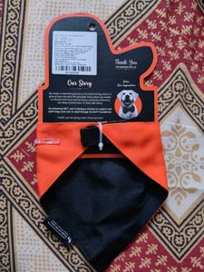 Dog clothing and toy combo