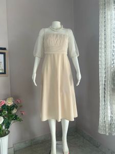 fixed price ✅Sheer Sleeve Dress