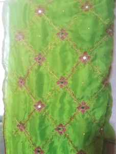Vibrant Green Embroidered Saree
