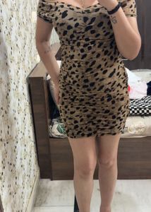 Leopard Print Ruched Mini Dress