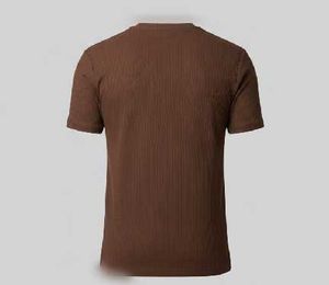 unisex Zudio Casual Brown Ribbed T-Shirt