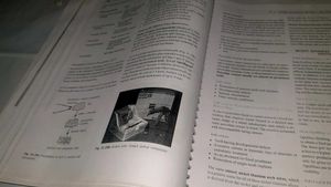 Textbook of Pedodontics 2nd Edition