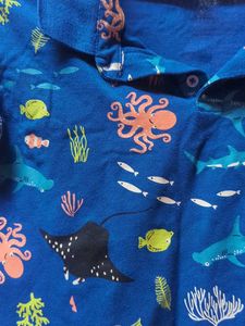 Boy Polo Tshirt