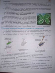 Science for Tenth Class Biology