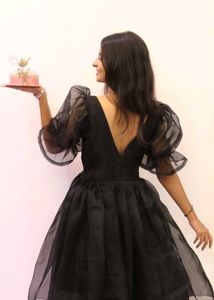 Women Flared Princess Dress