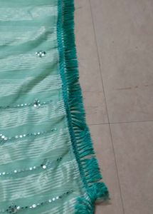 Beautiful Mint Green Striped Saree with Mirror Wor
