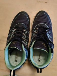 sportshors/sneakers