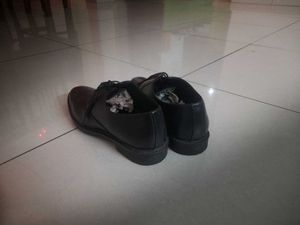 Classic Black Shoes