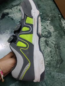 Campus Grey &amp; Neon Sports Shoes