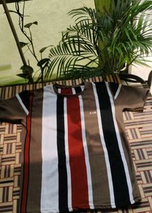 Striped T-Shirt - ZARA Brand