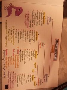 Biochemical Cycle &amp; Additional Topics Book