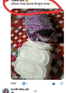 100 Pcs Loose L size pads (240mm)
