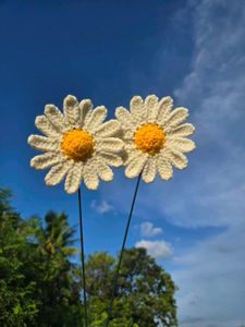 Handmade Crochet daisy