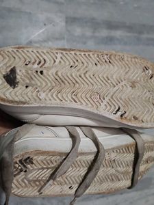 Sparx Sneakers (2 Pairs)