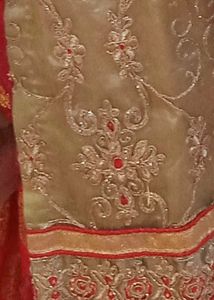 Exquisite Embroidered suit salwar with dupatta