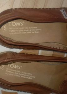 Toms Bellies